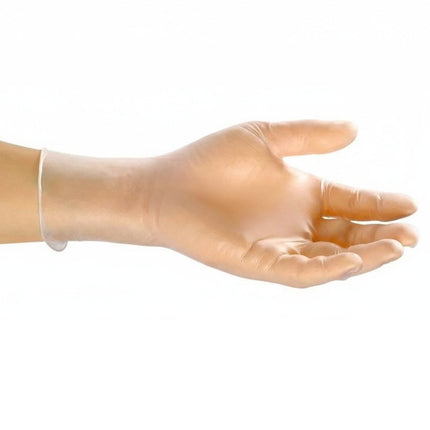 00102001 r_vinyl powder free glove 1