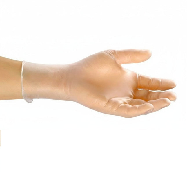 00102001 r_vinyl powder free glove 1