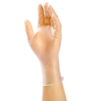 00102001 r_vinyl powder free glove 2