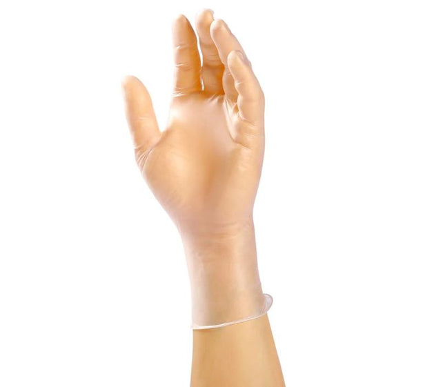 00102001 r_vinyl powder free glove 2