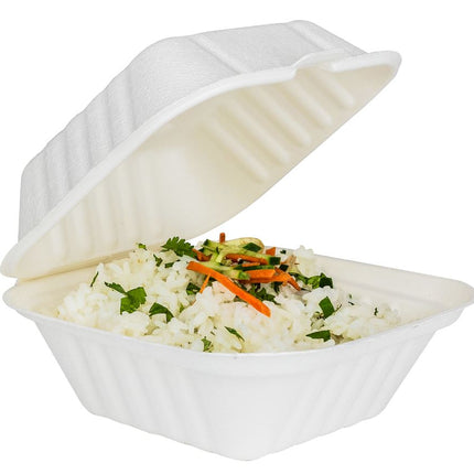 00207001_molded fiber hinged 4