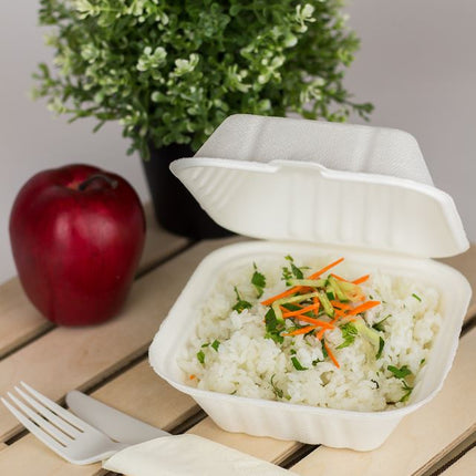 00207001_molded fiber hinged 5