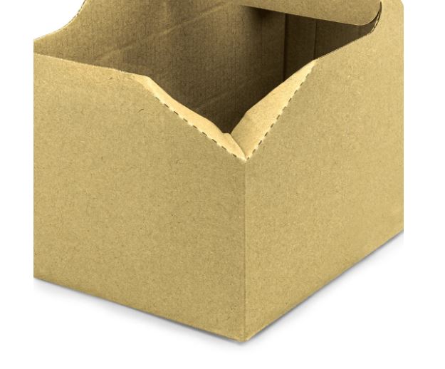 00229001_2 cup carrier 3