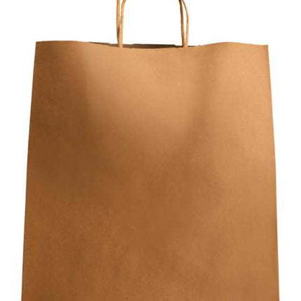 Paper Bag with Handles, Kraft, Large 12" x 9" x 15.75" - Image 1