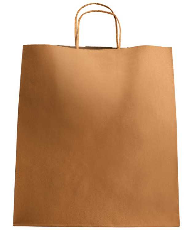 Paper Bag with Handles, Kraft, Large 12" x 9" x 15.75" - Image 1