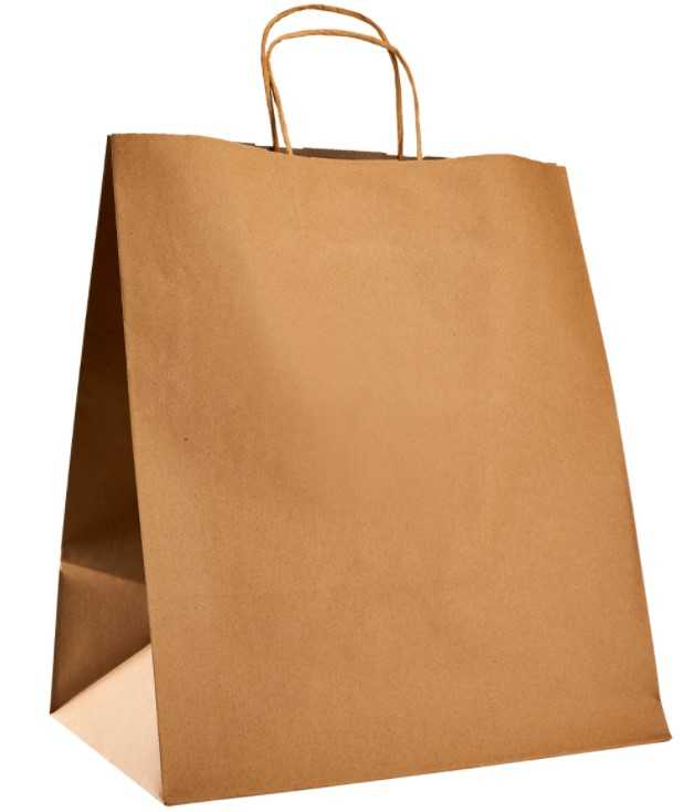 Paper Bag with Handles, Kraft, Large 12" x 9" x 15.75" - Image 2