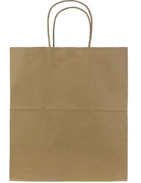 Paper Bag with Handles, Kraft, Large – kraft brown - Image 1