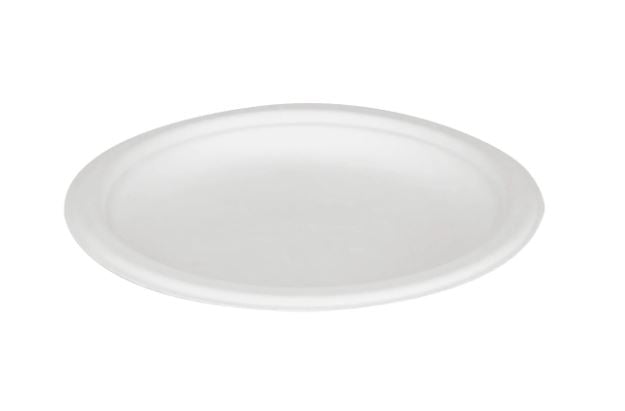 00252006_6 in round plate bagasse 1