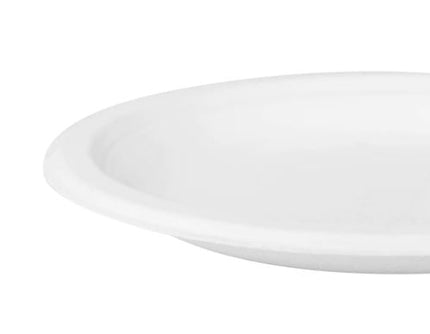 00252006_6 in round plate bagasse 2