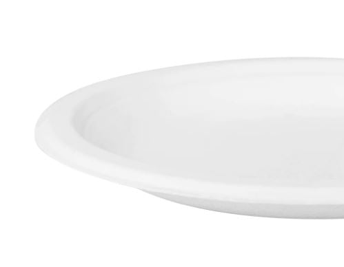 00252006_6 in round plate bagasse 2