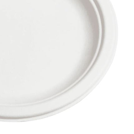 00252006_6 in round plate bagasse 3