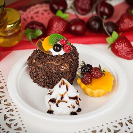 00252006_6 in round plate bagasse 5