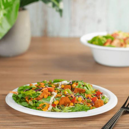 00252009_9 in round plate bagasse 5