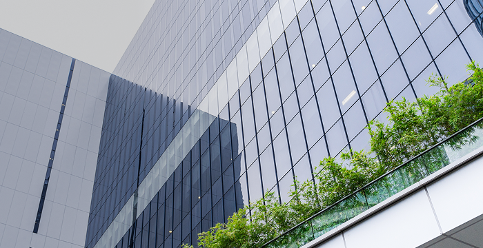 <h1><strong>The story of Imperi</strong></h1>